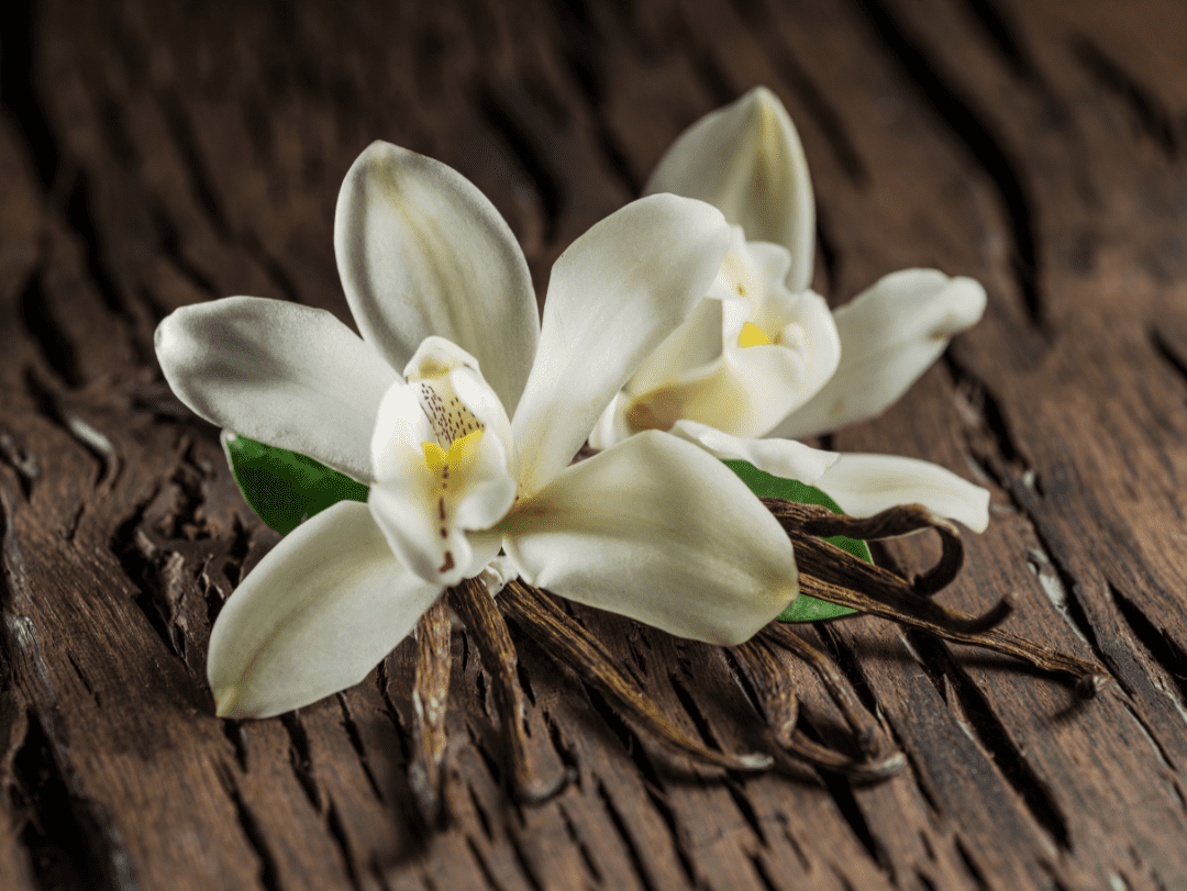 L‘aromathérapie, Vanilla Aroma, est un bon analgésique et combat l’insomnie