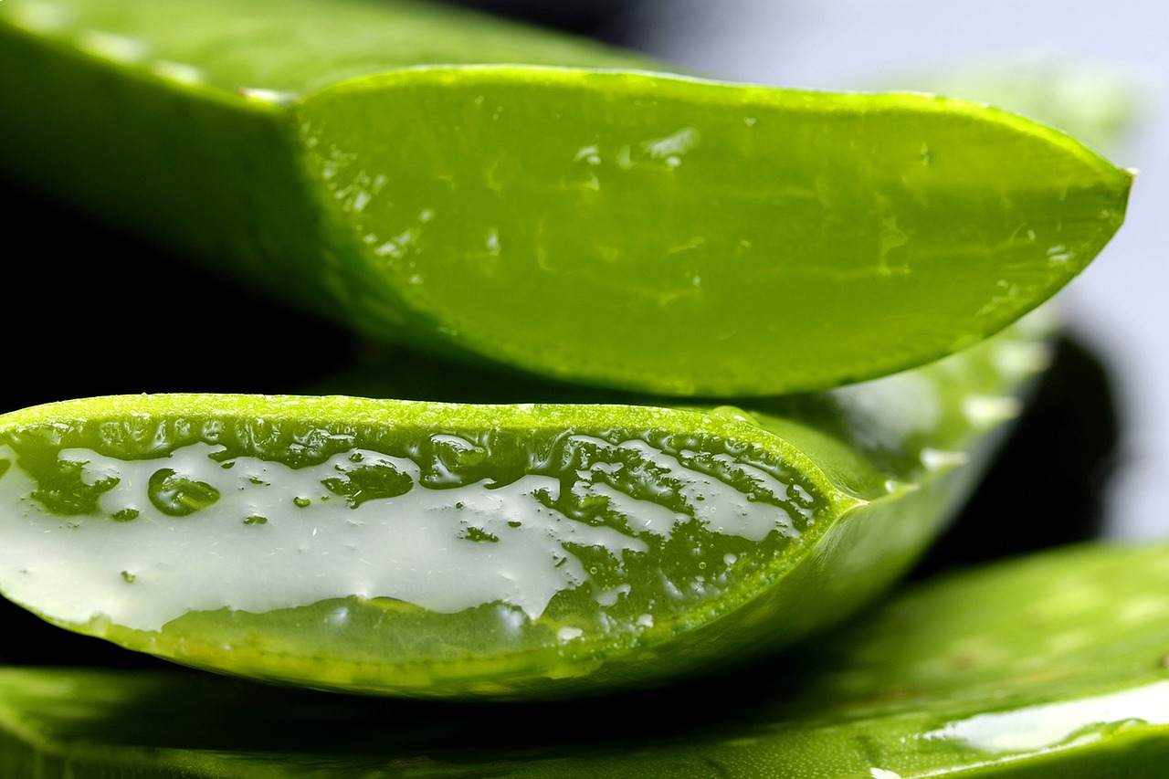 Aromathérapie, Arôme Aloe Vera