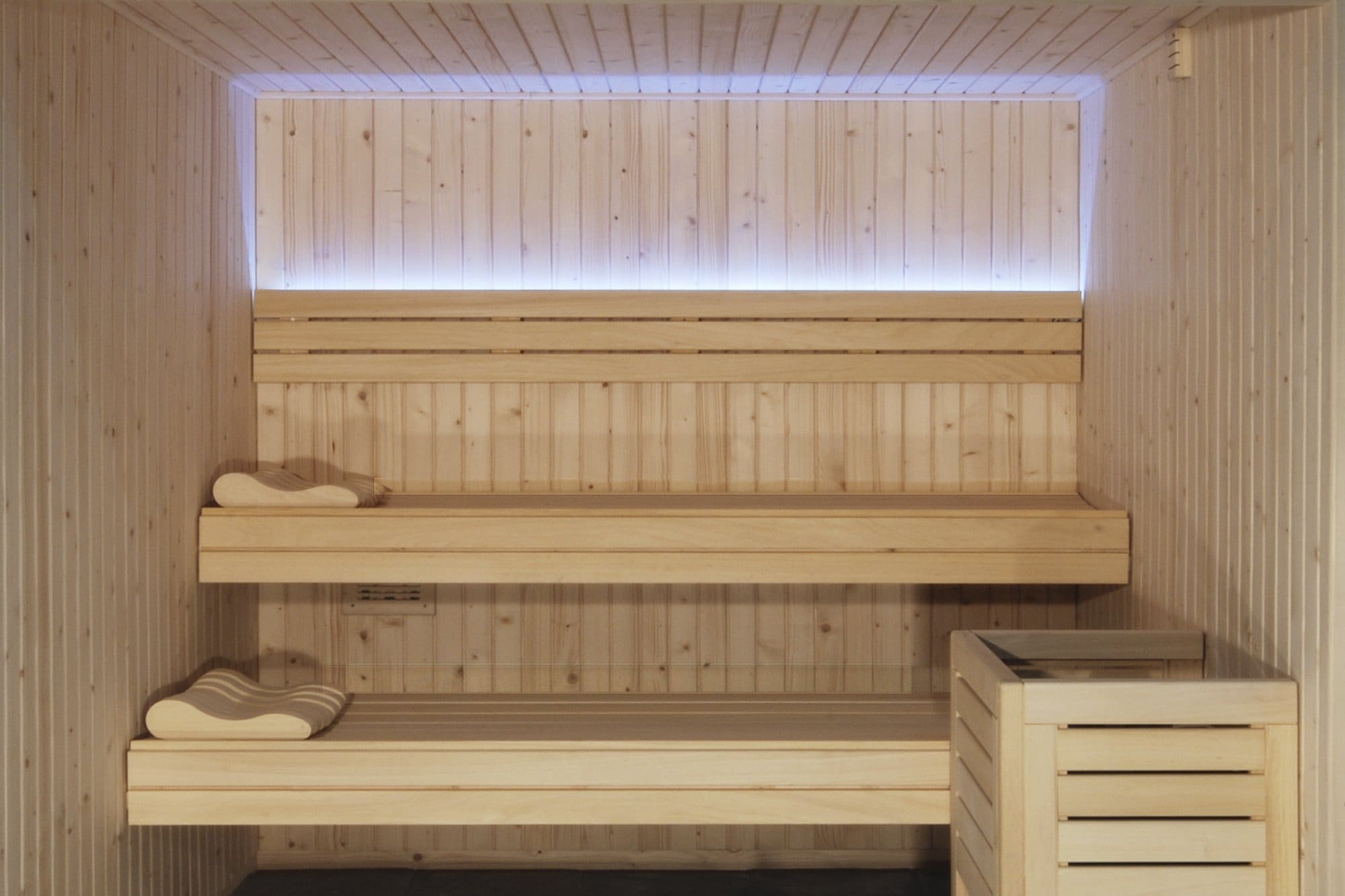 Sauna tradicional Profesional